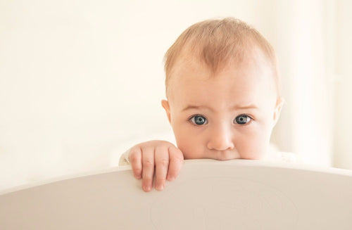 How to Stop Your Toddler's Biting Habit